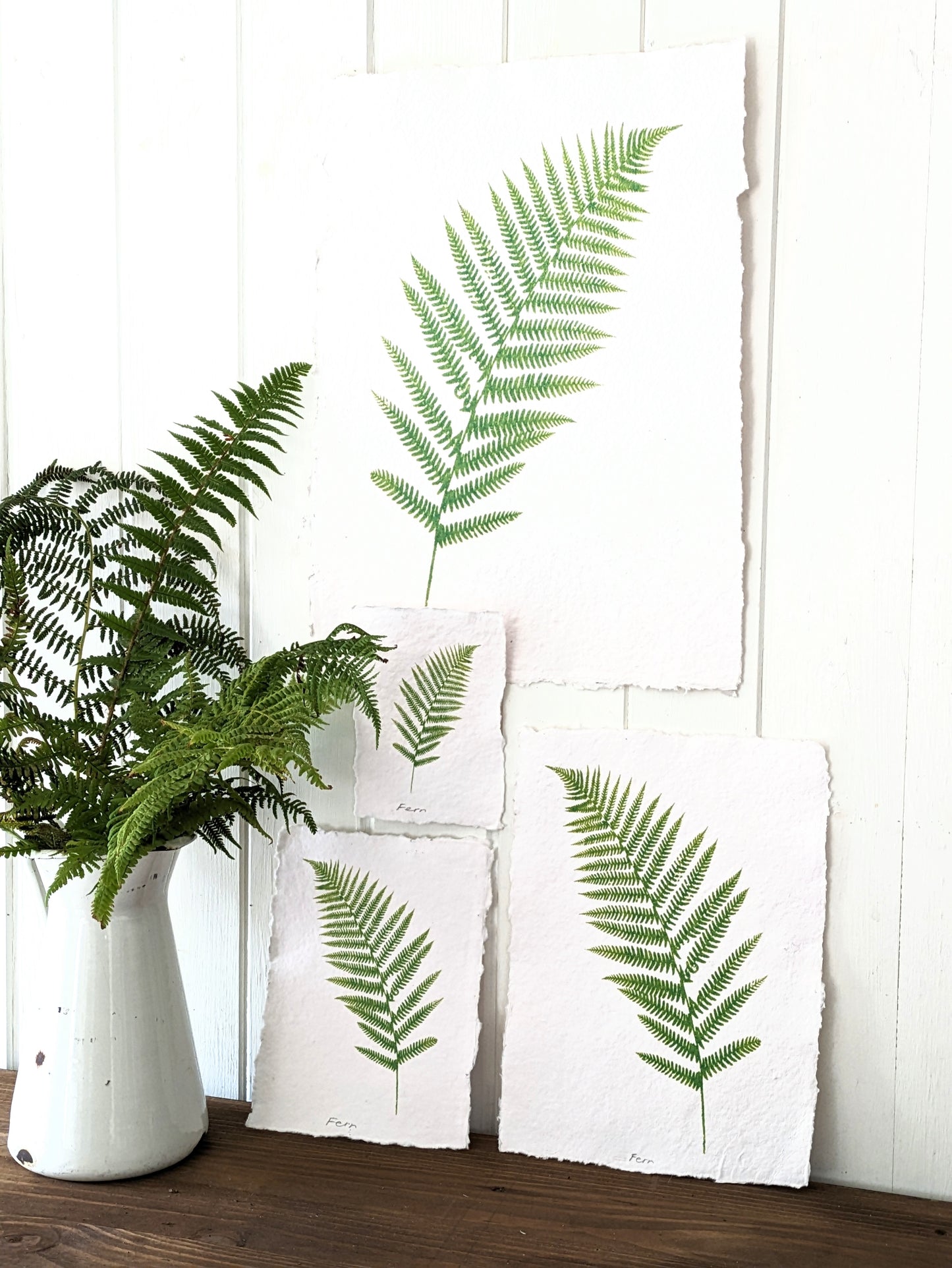 A3 fern silkscreen prints