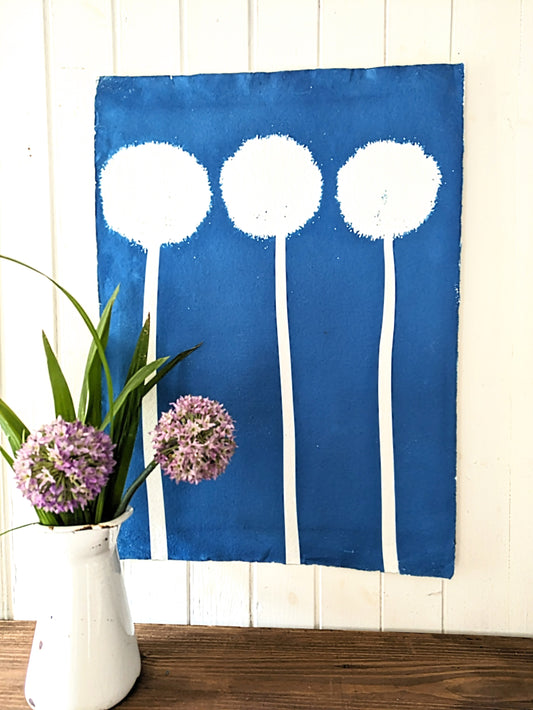 XL Allium Cyanotypes