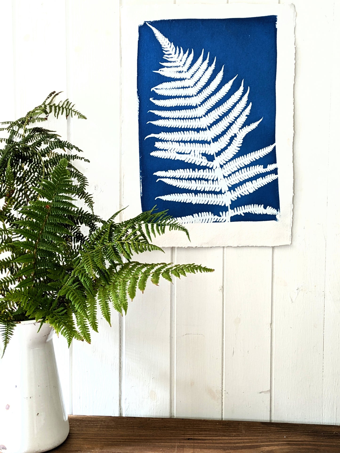 A3 Fern Cyanotypes