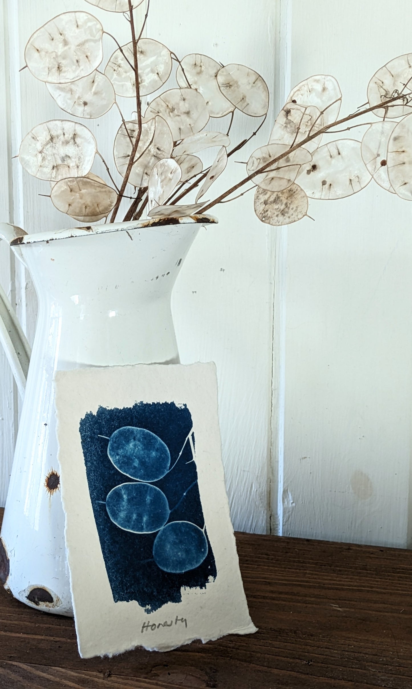 A6 Honesty/Lunaria/Silver Dollar Cyanotypes