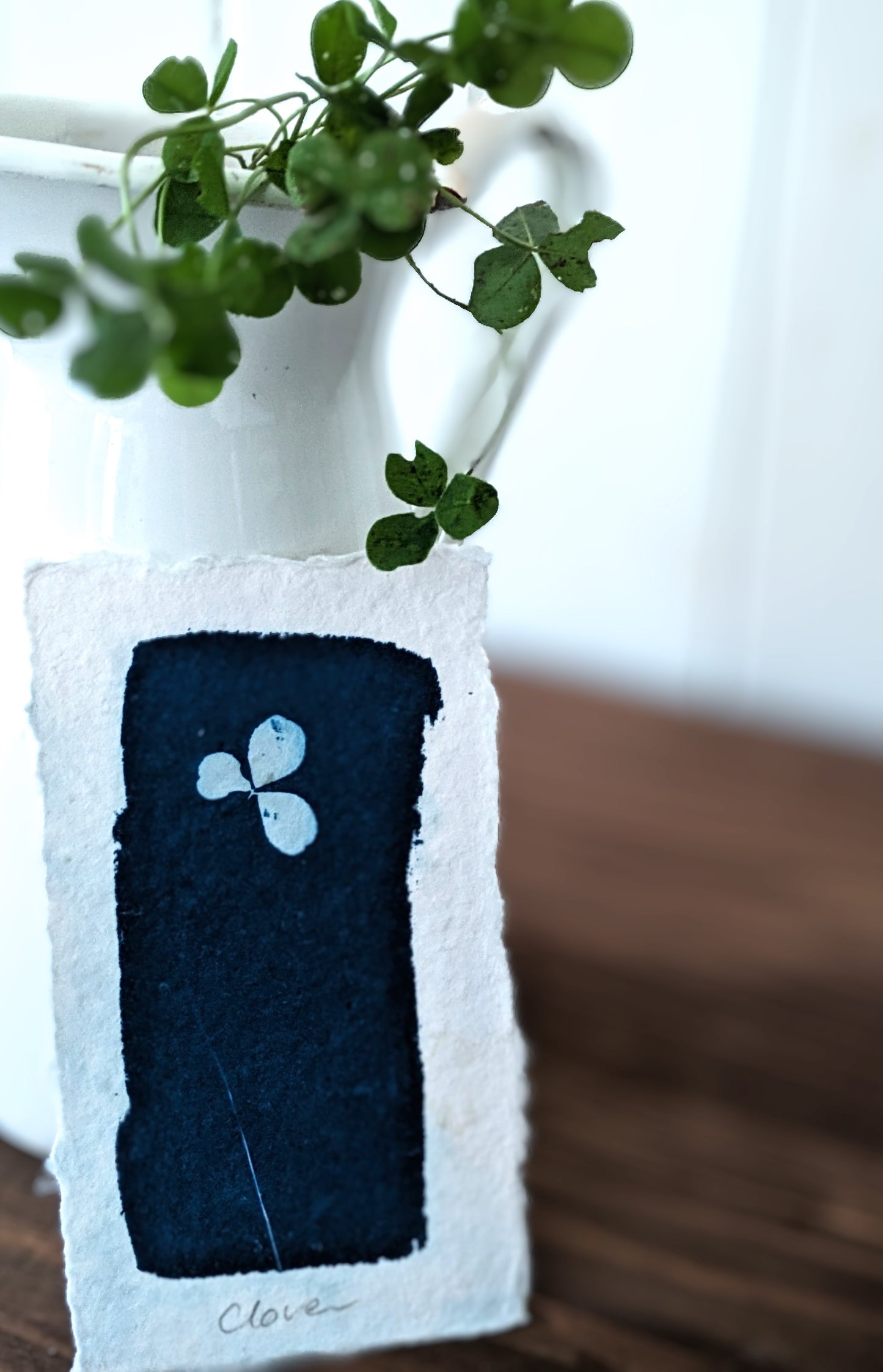 A6 Three Leaved Clover Cyanotypes