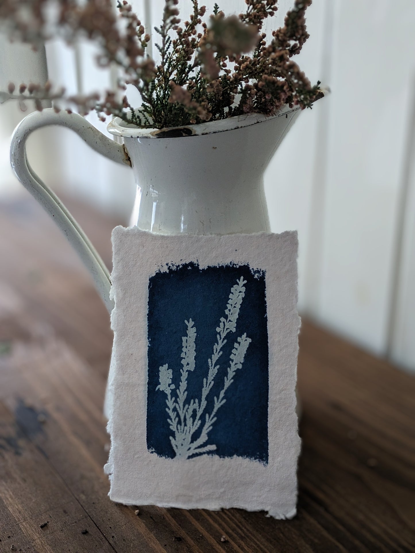 A6 Wild Mountain Heather Cyanotypes