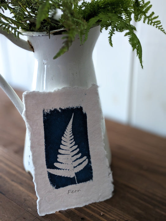 A6 Fern Cyanotypes