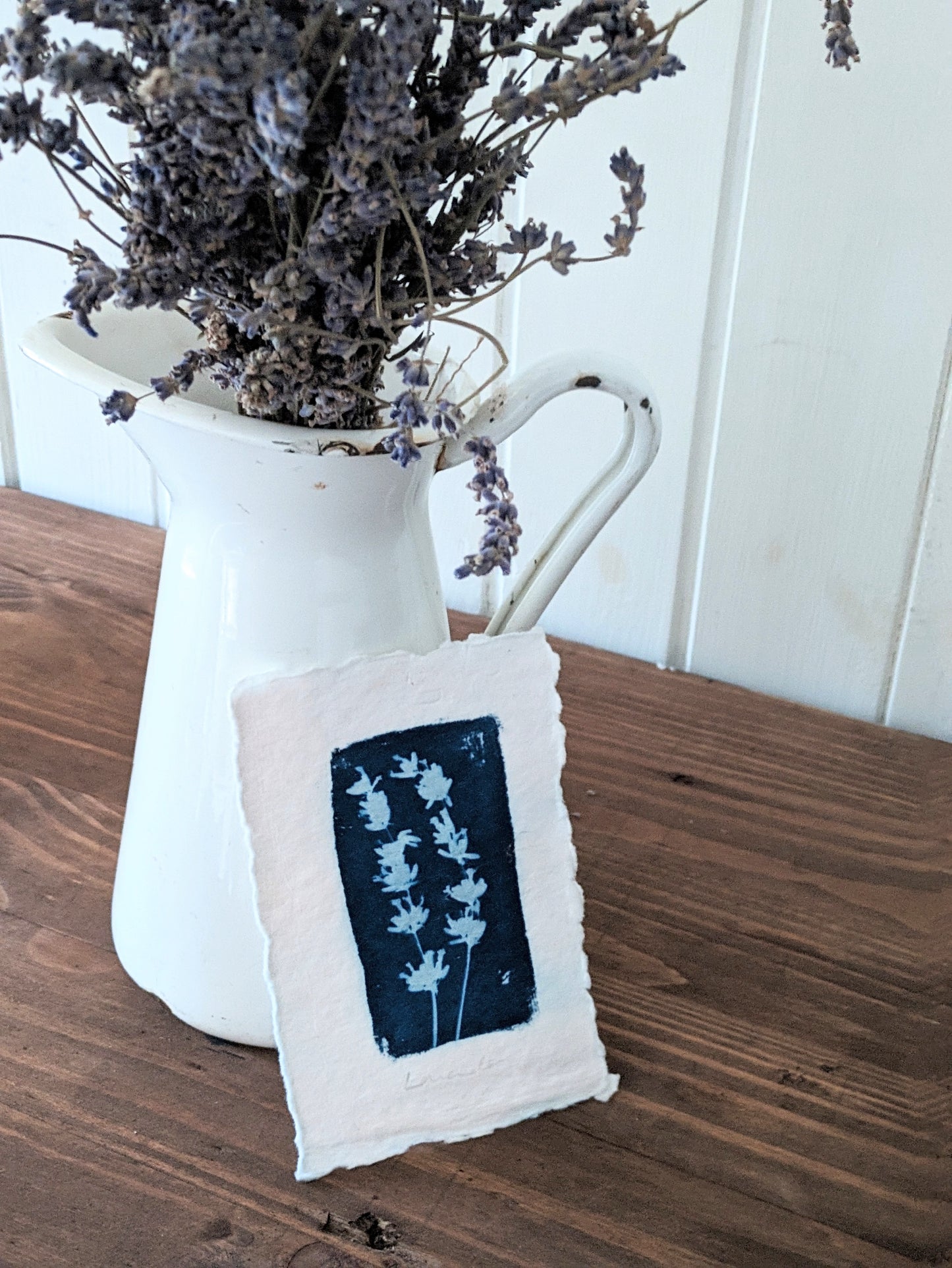 A6 Lavender cyanotype