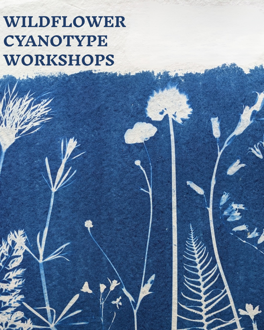 Wildflower Cyanotype Workshops